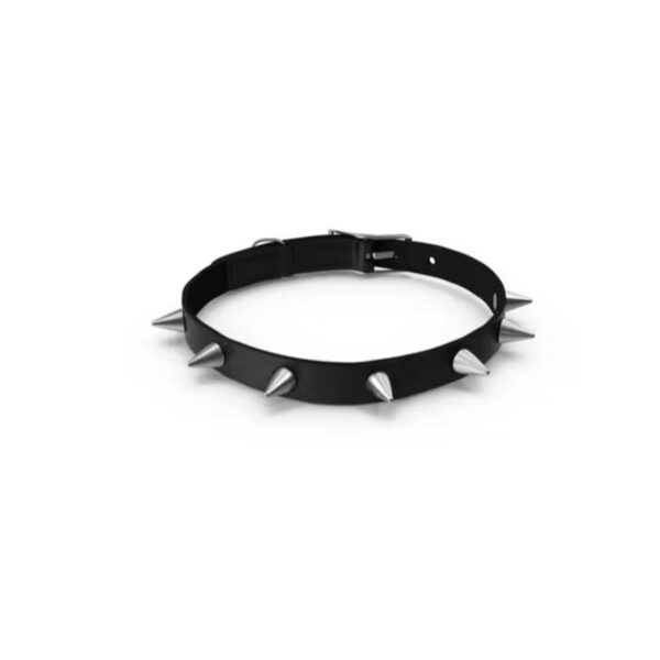 Dog Collar